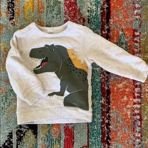 Dino sweatshirt
